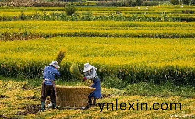 百度(xin)圖片_20201204135023.jpg
