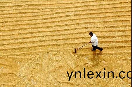 微(wei)信(xin)圖(tu)片_20201204135029.jpg