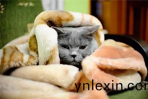 微(wei)信(xin)圖(tu)片(pian)_20201204135258.jpg