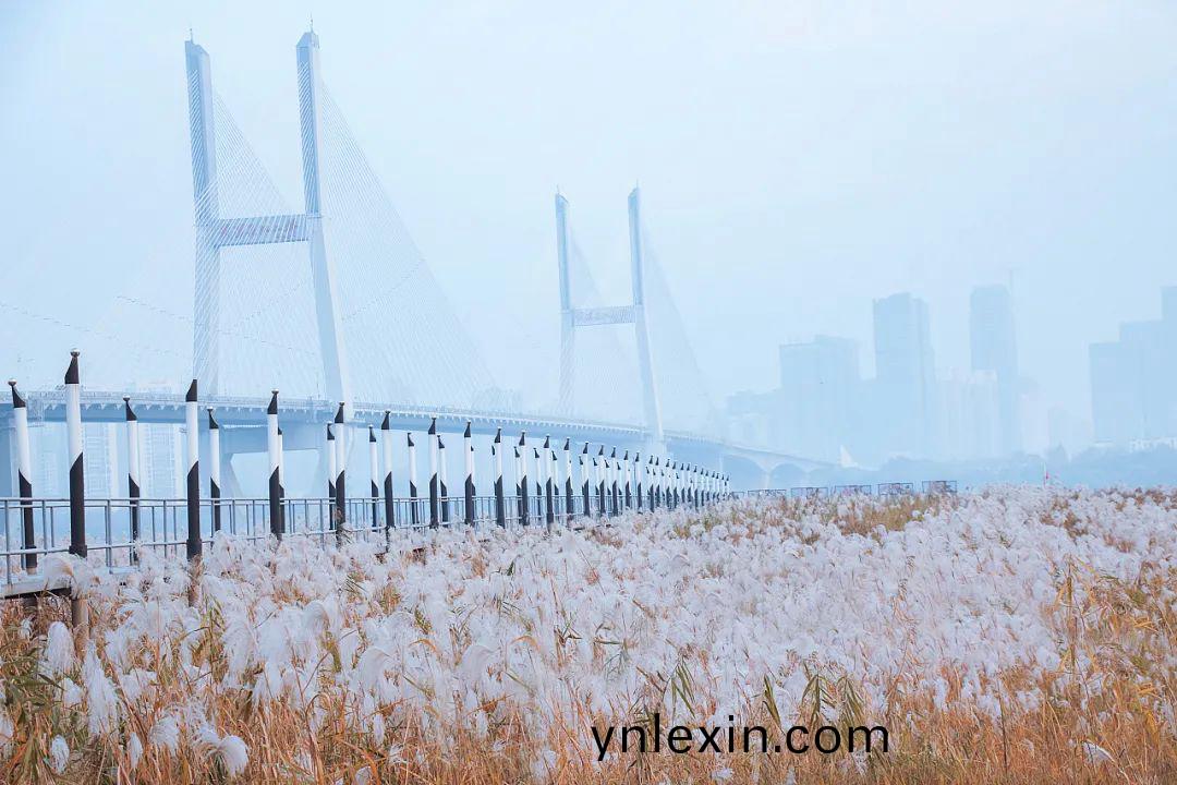 百度圖(tu)片_20220413152928.jpg