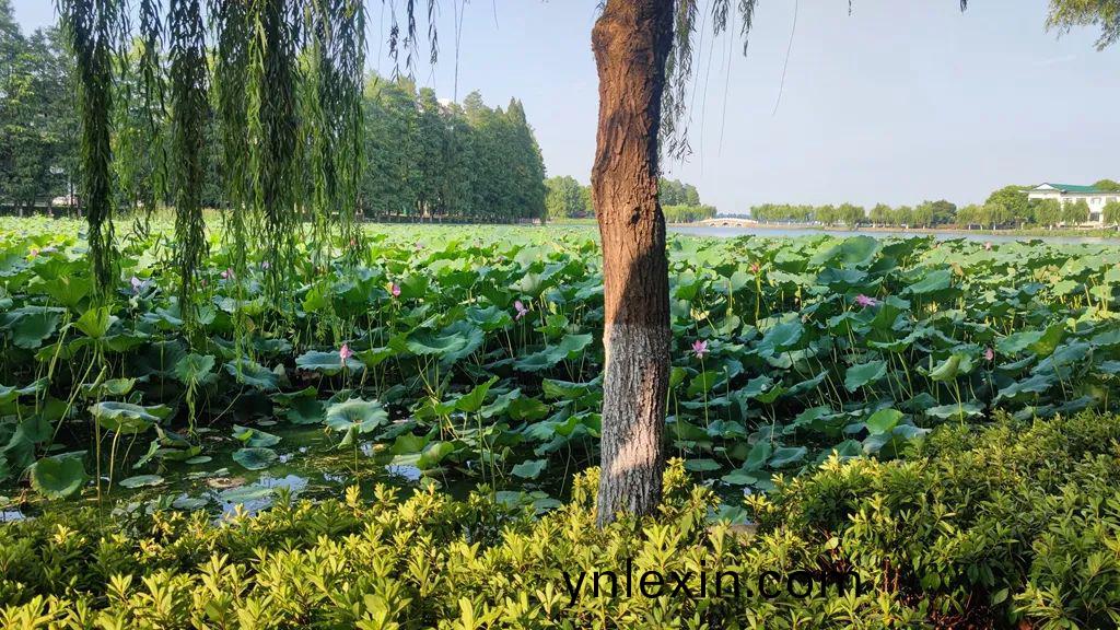 百度圖片_20220414161928.jpg